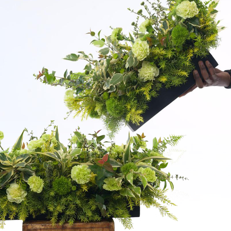 hedge 3